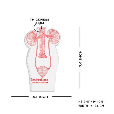 3D Illusion Kidney Acrylic Led Lamp Nephrologist Gift 3D Kidney Doctor Gifts